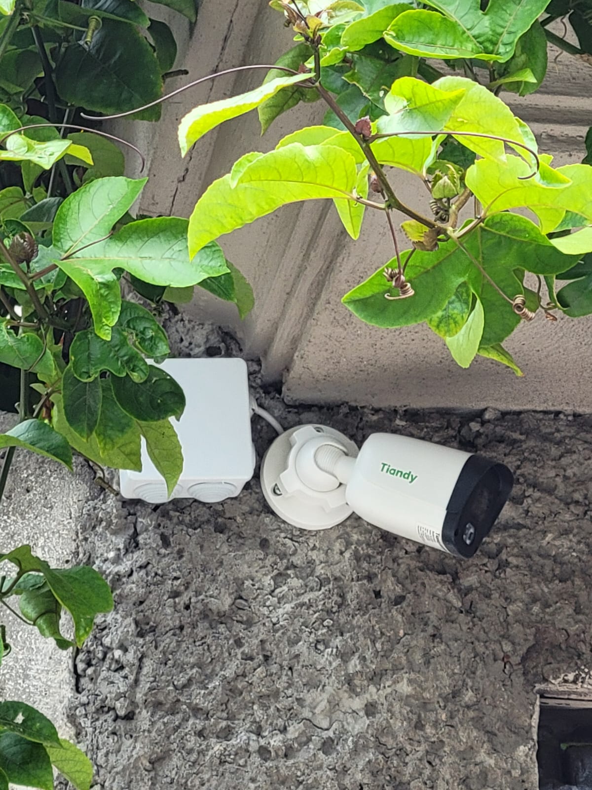 Instalación realizada